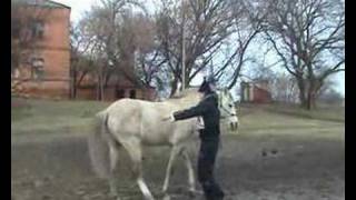Me and my horse