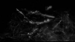 Re: Pier Bucci - l'nuit - with audio in sync!
