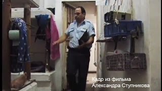 Страшное наказание ожидает палестинских убийц