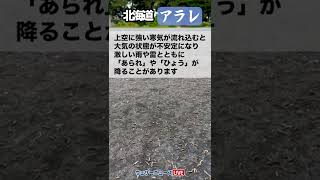 北海道「アラレ」#shorts