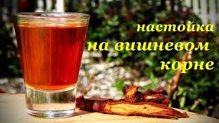 Настойка на вишневом корне