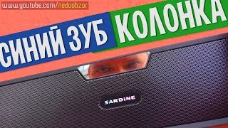 Bluetooth колонка SARDINE SDY-019 Обзор. Конкурс без репостов завершен