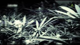 Błękit Policyjnych Lamp (feat. INSP) - Policja was Je*ie