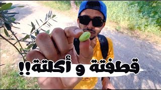 سديم| الاسبوع السابع | تحدي التسويق || علي النيادي | الوظيفة ام العمل الحر