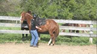 Piaffe in hand, Riding