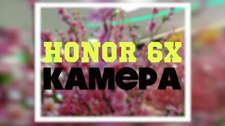 Honor 6X тестирую двойную камеру - примеры фото и видео. Honor 6X Camera samples