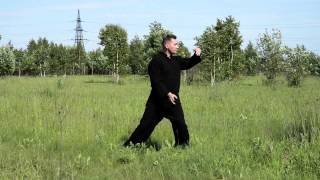 18 Форм Тайцзи Цигун. Владимир Осипов