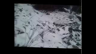 Поездка в заброшенный военный городок