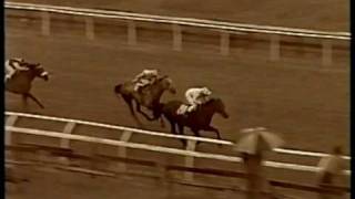 Bent Horse Racing Pt 2 - 2002