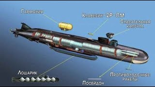 В. Петров.  АПЛ "Лошарик" и вся цепочка до и после этого.