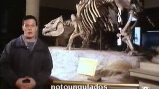 Patagonia en busca de su remoto pasado - capítulo 3 de 7