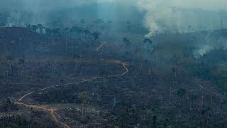 Noch keine konkreten Maßnahmen: G-7-Gipfel einigt sich auf Hilfe für Amazonas-Brandgebiete