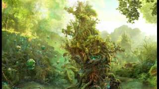 Hoopy Froon - The Voice