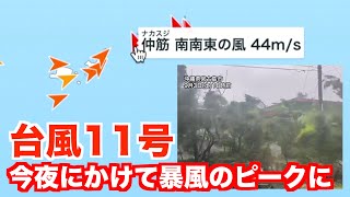 台風11号の接近で沖縄は風が強まる 瞬間風速は30m/s超の所も