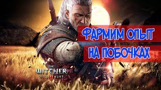 Ведьмак 3: Дикая Охота - ФАРМИМ ОПЫТ НА ПОБОЧКАХ, АПАЕМ ПЕРСОНАЖА, ПОДНИМАЕМ УРОВЕНЬ | 16+