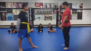 Kung Fu San Soo