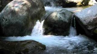 Cantico dei Cantici - Angelo Branduardi