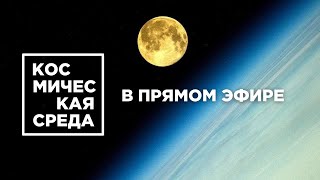 Космическая среда № 310 // спутники OneWeb, эксперимент SIRIUS, испытания двигателя РД-171МВ