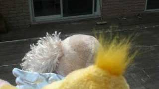 Webkinz "Like Whoa" Music Video Adventure (Stop Motion)