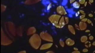 PSYCHEDELIC LIGHT SHOW UFO 1967: Soft Machine