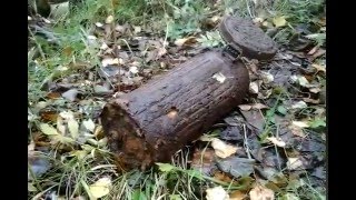 Коп без лишних слов... Search for relics of the World War