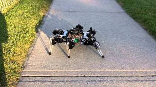 Hexapodinno Out and About - by CustoBots