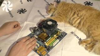 Про покупку Xeon-ов на 775