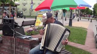 У каждого музыканта есть свои поклонники! Аккордеон! Buskers! Street! Musik!