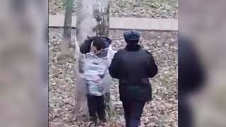 Разбуянившегося москвича привязали к дереву пищевой пленкой