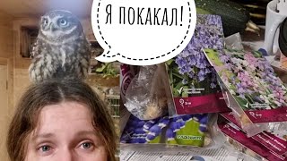 Совиная Распаковка луковичных цветов из CVETOK.SHOP под надзором сыча Лучика. Промокод в описании!