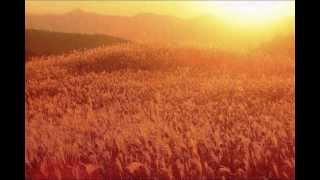 煌めきに包まれて-曽爾高原の秋 plateau which shines (ススキと夕日)　癒しの風景　ヒーリング −Soni Plateau Nara Japan