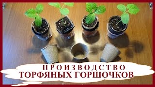 Производство торфяных горшочков для рассады и торфяных таблеток. Малый бизнес в деревне.