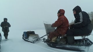 Ловим берша на Волге. Старая Майна. Отчёт 22.02.19