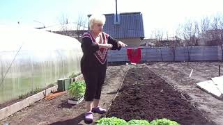 КАК ВЫРАСТИТЬ РАССАДУ НА ПРОДАЖУ? Часть 3 - подготовка грядки. 