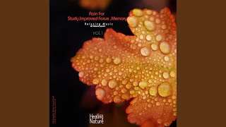 Gentle Rain for Studying 힘들 때 듣는 숲의 빗소리