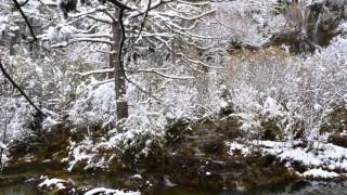 Nieve en el nacimiento del rio Cuervo