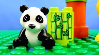Lego Duplo 10904 Baby Animals - Лего Дупло 10904 Детишки животных. Строим из Lego Duplo.