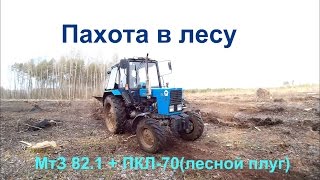 Пахота в лесу. МтЗ 82.1+ КЛб-70(лесной плуг)