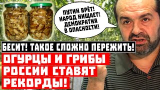 Бесит! Огурцы и грибы России ставят рекорды урожайности!