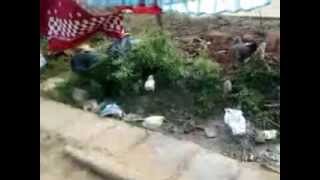 Sana Babu, Sency, Naina, Maa, Lovelu, Sana