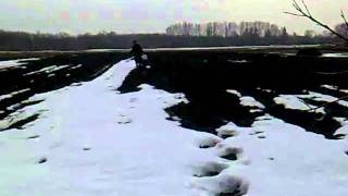 Посадка фацелии и донника.