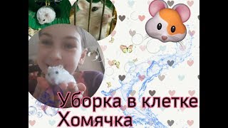 УБОРКА В КЛЕТКЕ ХОМЯЧКА ДЖЕРРИ ! Чистый домик хомяка. Как убирать в клетке хомяков.