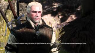 Druid Gremist |The Witcher 3: Wild Hunt|