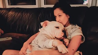 Once barely able to walk, this dog now hikes with human family