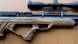 Hatsan AT 44-10 8 bullpup
