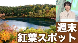 【週末の紅葉おすすめ情報】定山渓温泉や日光・竜頭ノ滝で見頃に