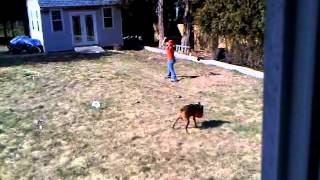 jen- bullwhip