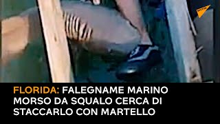 Florida: falegname marino morso da squalo cerca di staccarlo con martello