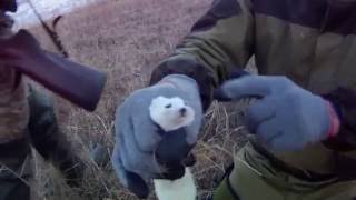 охота в якутии