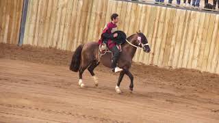 SERIE DE CAMPEONES RODEO LOLOL 2018